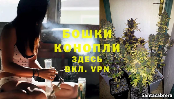 гашишное масло Белокуриха