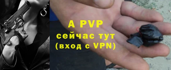 мяу мяу мука Богданович