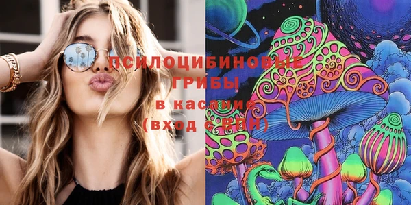 прущий лед Богородицк